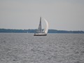 DSC_3401